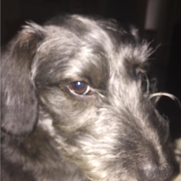 Meet your Posher, Kelli - Picture 2 of 3